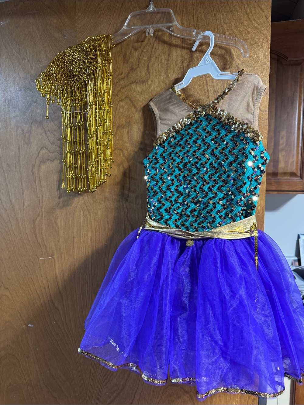 Egyptian Costume Kids Sequined Teal & Purple Dance Costume with Gold Accents